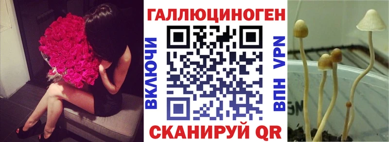 блэк спрут как войти  как найти закладки  Курган  Псилоцибиновые грибы Cubensis 